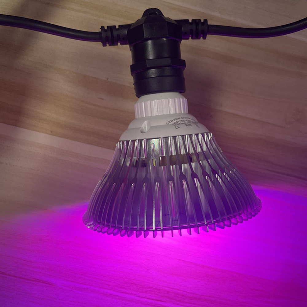 Kabel LED 10M Kelas Komersial  - Led Fairy String Lights ulasan dan harga